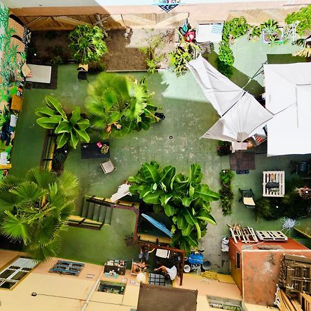 הוסטל לאס פאלמס דה גראן קנאריה Jungle House מראה חיצוני תמונה