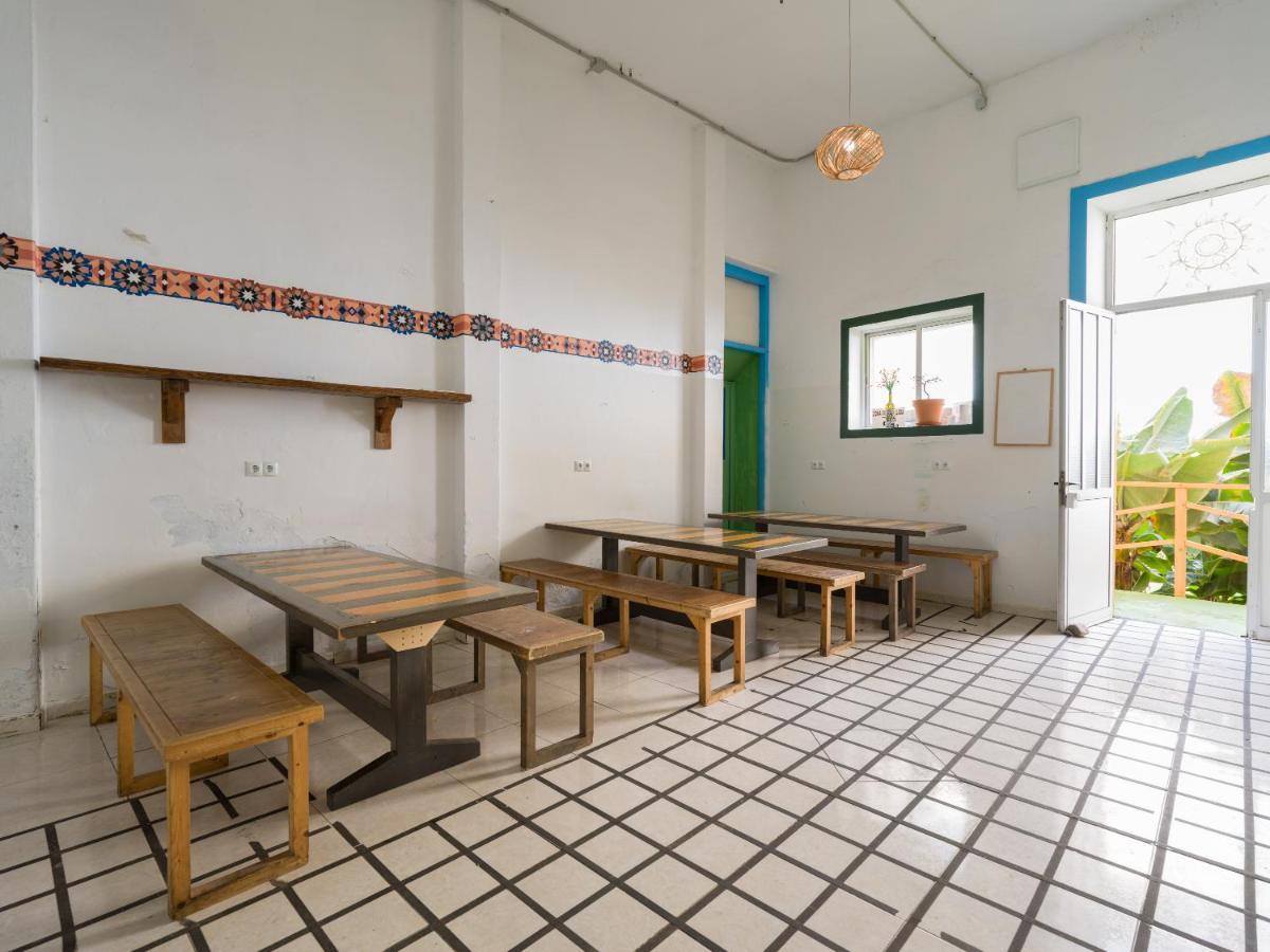 הוסטל לאס פאלמס דה גראן קנאריה Jungle House מראה חיצוני תמונה
