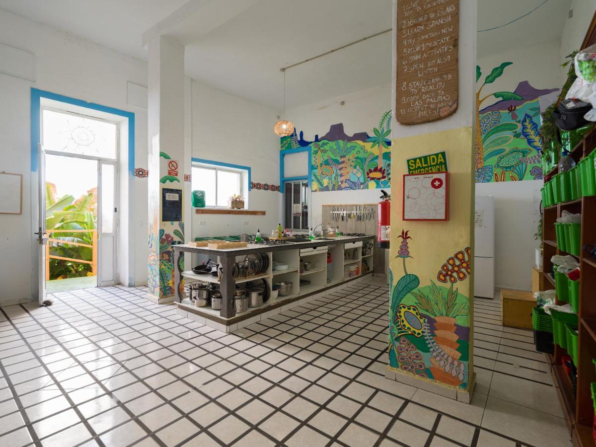 הוסטל לאס פאלמס דה גראן קנאריה Jungle House מראה חיצוני תמונה